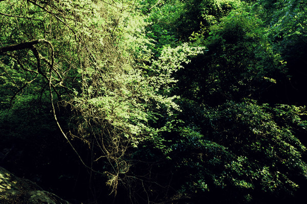 dsc01382_.jpg