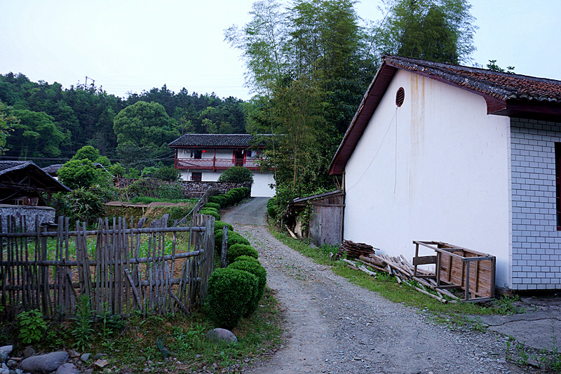 dsc01488_.jpg