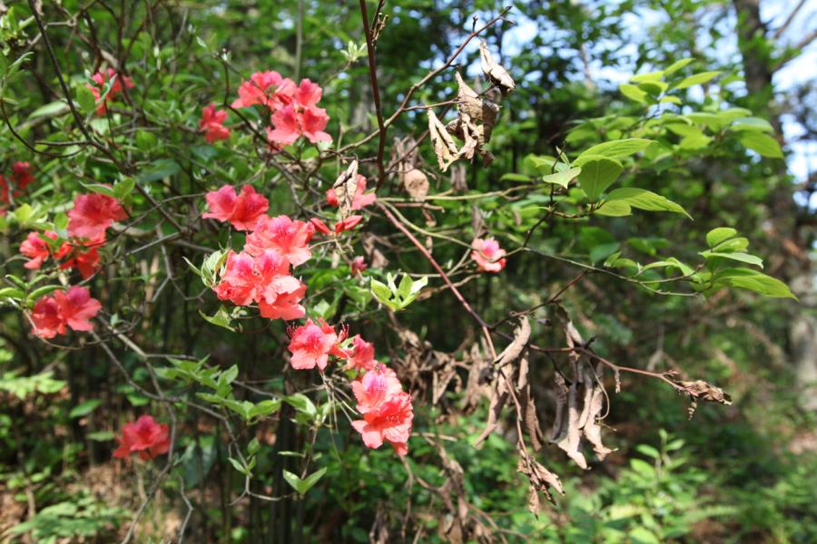 img_6760.jpg