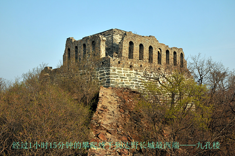 dsc_9944_.jpg