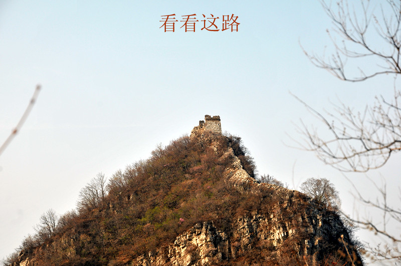 dsc_9980_副本.jpg