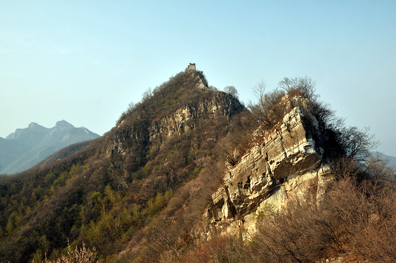 dsc_9981_副本.jpg