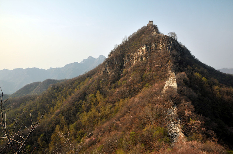 dsc_9984_副本.jpg