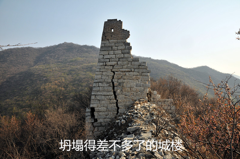 dsc_9988_副本.jpg
