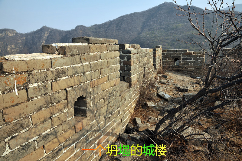 dsc_9995_副本.jpg