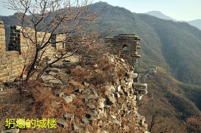 dsc_9998_副本.jpg