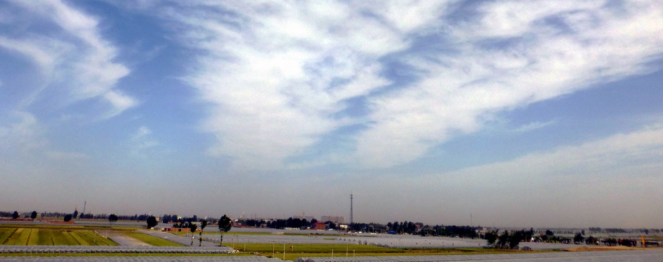 p1210830.jpg