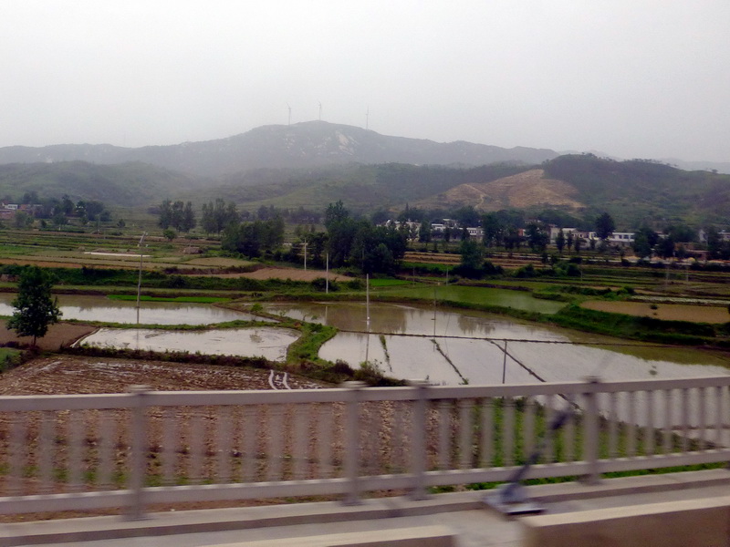 p1210850.jpg