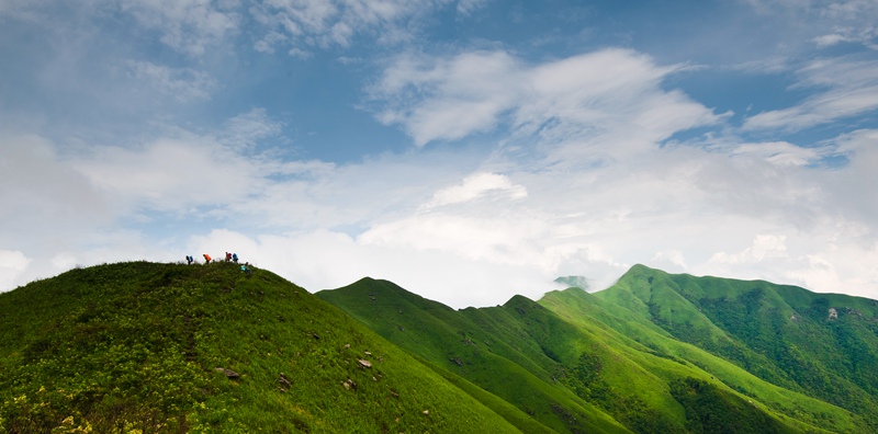 dsc_8703-1_.jpg