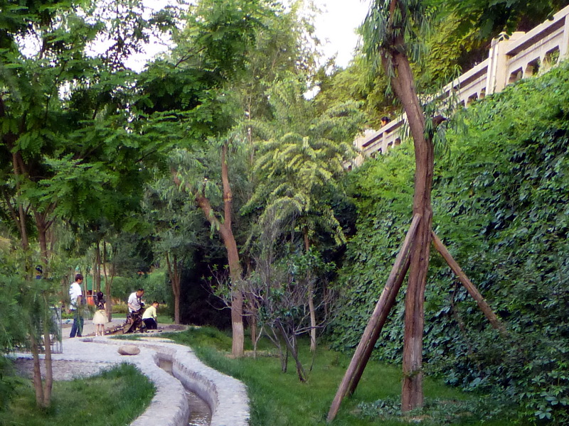 p1210989.jpg