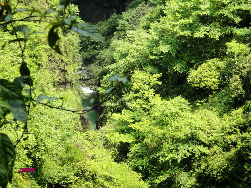 dsc02162.jpg