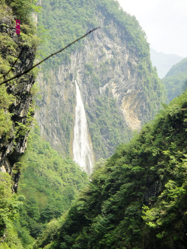 dsc02163.jpg