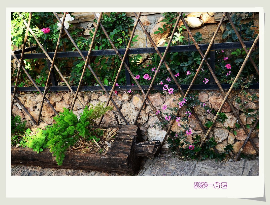 neo_img_dsc_5993.jpg