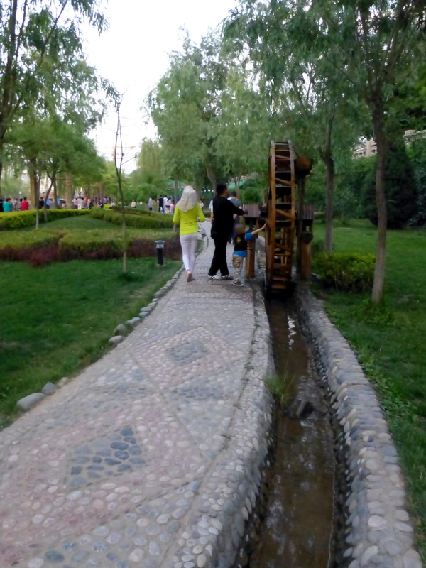 p1210997.jpg