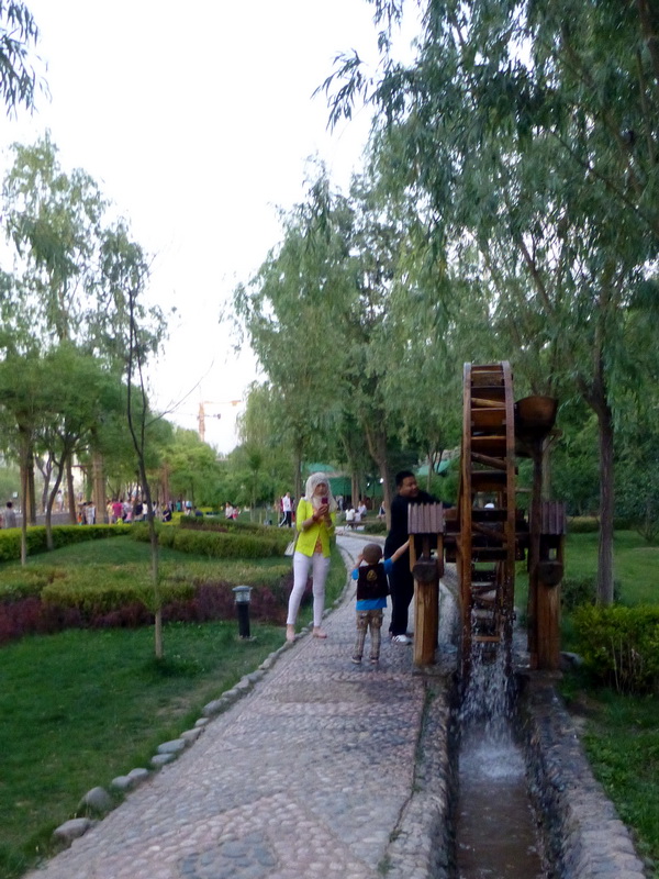 p1210999.jpg