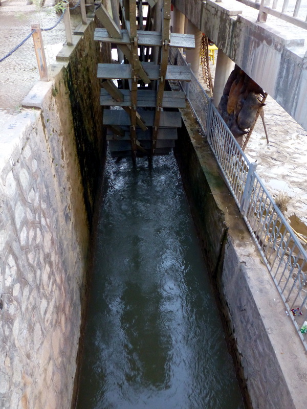 p1220010.jpg