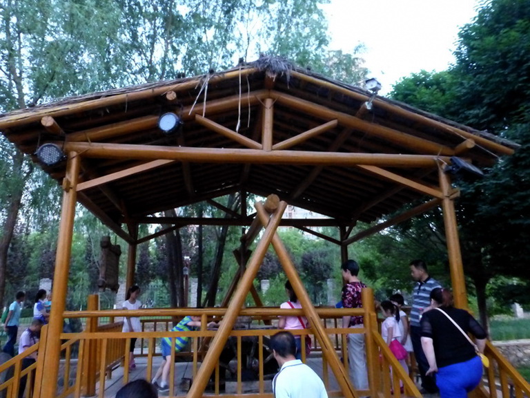 p1220015.jpg