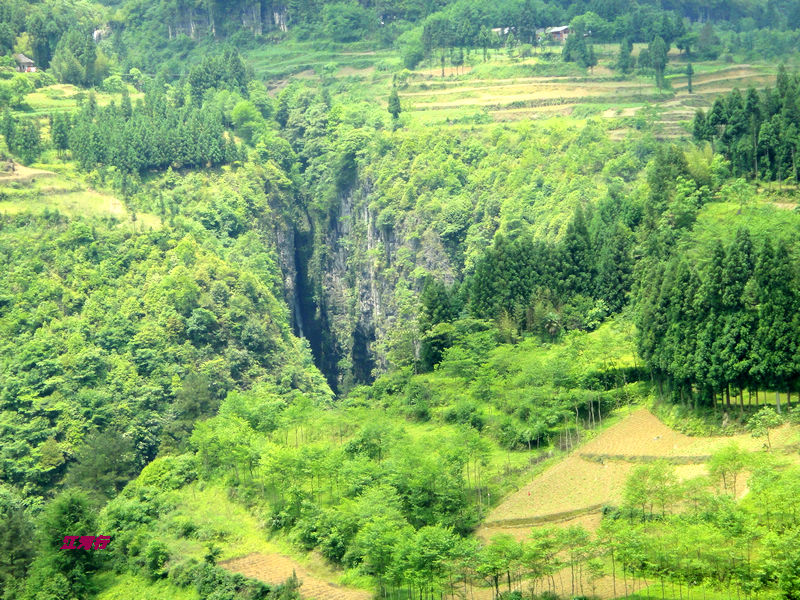 dsc02288.jpg