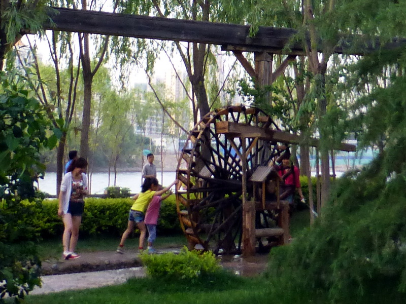 p1210992.jpg