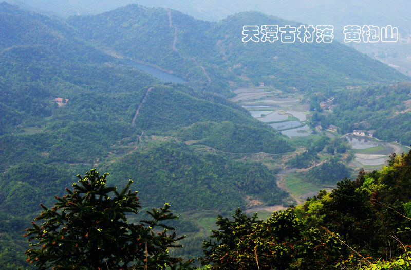 51通城县黄袍山599.jpg