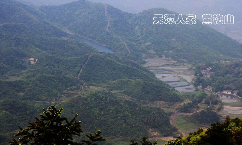 51通城县黄袍山601.jpg