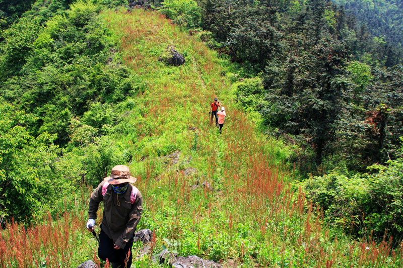 51通城县黄袍山658.jpg