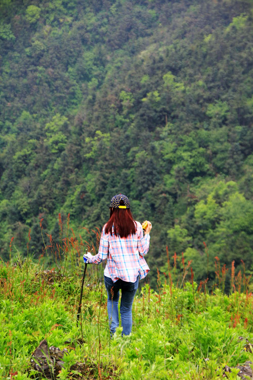 51通城县黄袍山614.jpg