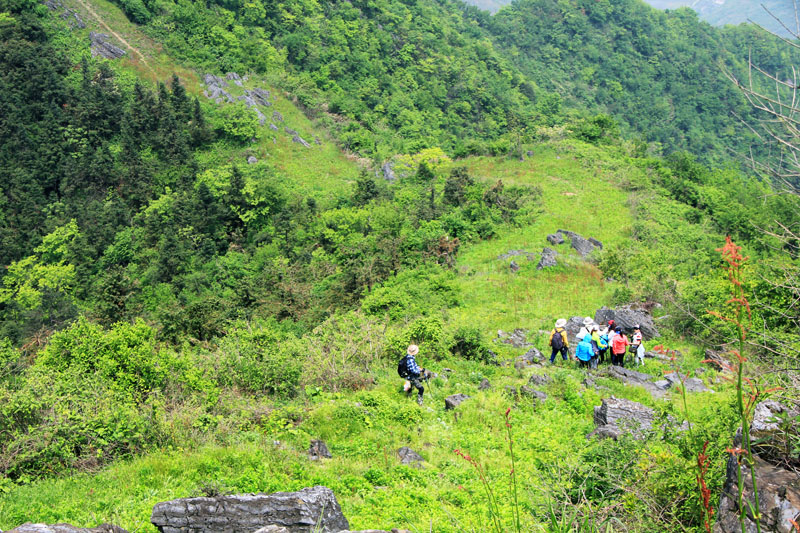 51通城县黄袍山620.jpg