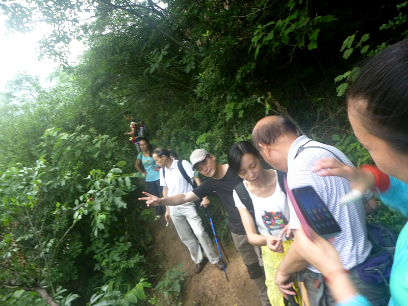 p1210234_.jpg