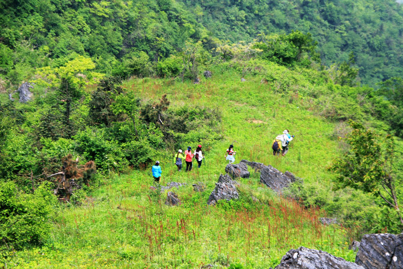 51通城县黄袍山626.jpg