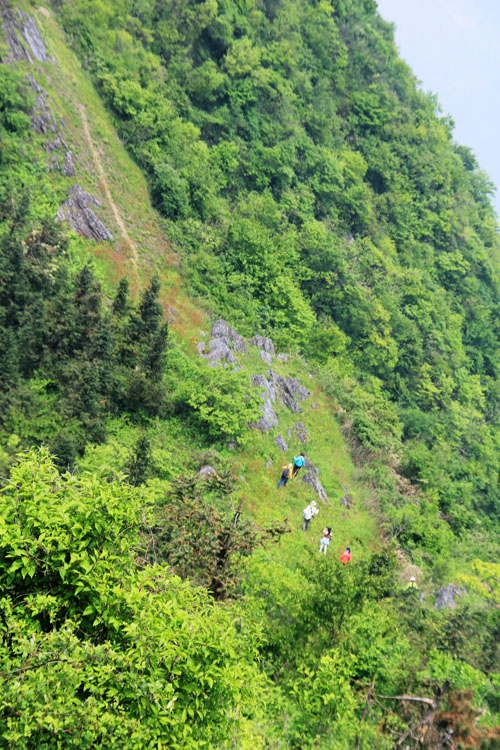 51通城县黄袍山627.jpg