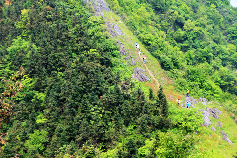 51通城县黄袍山630.jpg