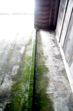 imgp7398_.jpg