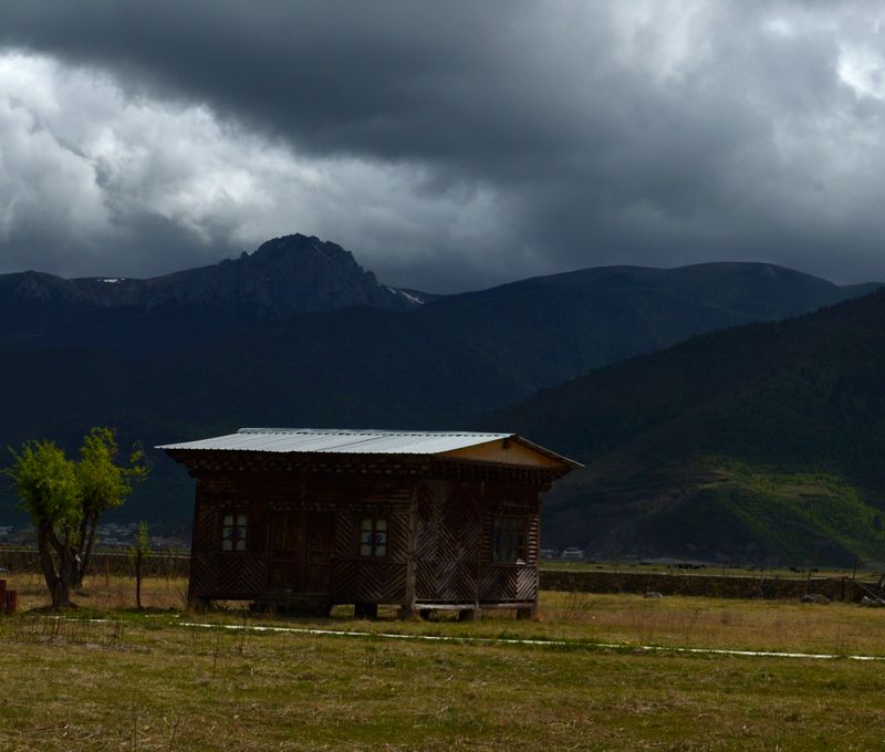 dsc_8530.jpg