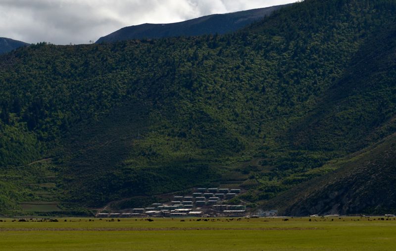 dsc_8566.jpg
