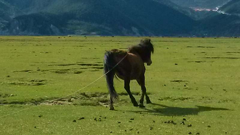 20140527_173148_.jpg