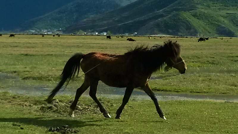 20140527_173140_.jpg