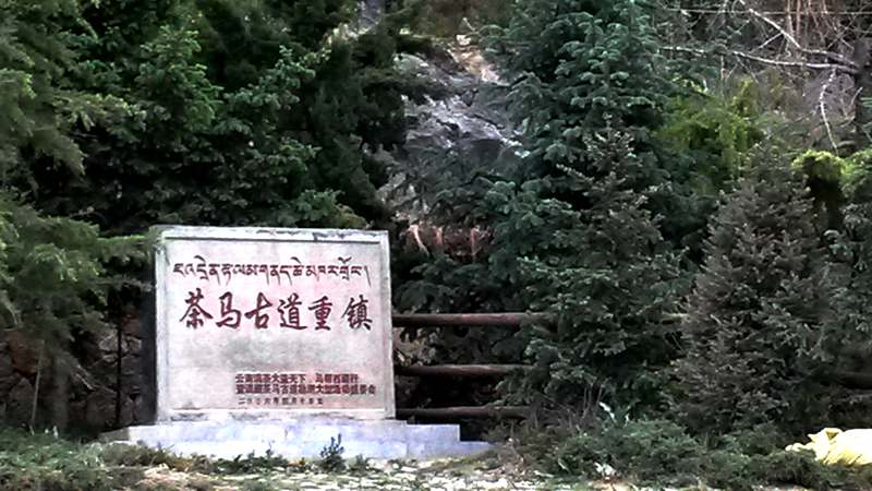 20140528_064523_.jpg