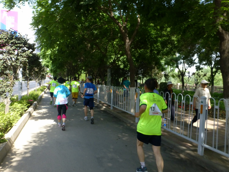 p1220230.jpg
