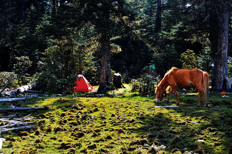 dsc_8276.jpg