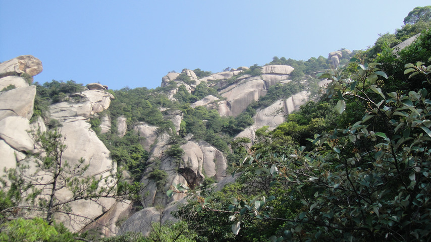 dsc08118.jpg