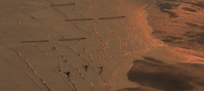c08a6459.jpg