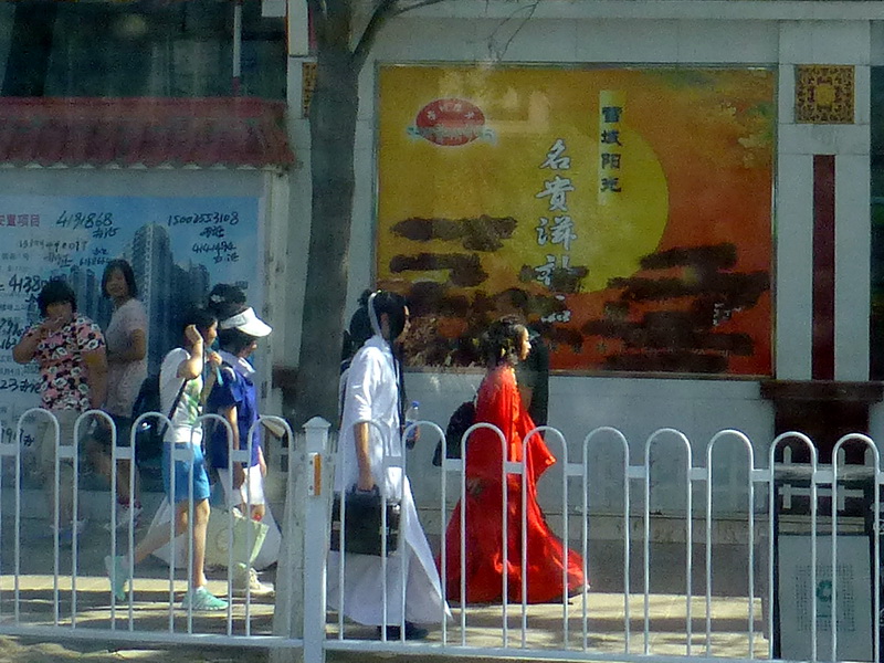 p1220381.jpg