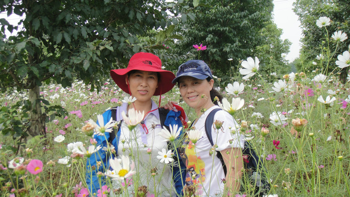 dsc08538.jpg