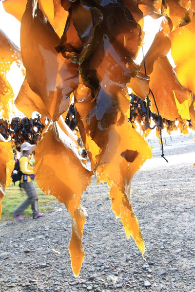 img_2899_缩小大小.jpg