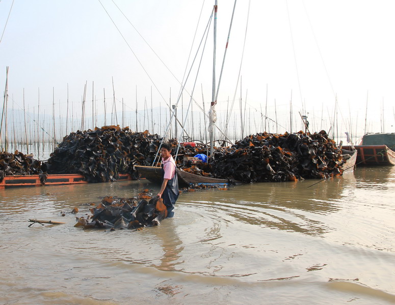 img_2949_缩小大小.jpg