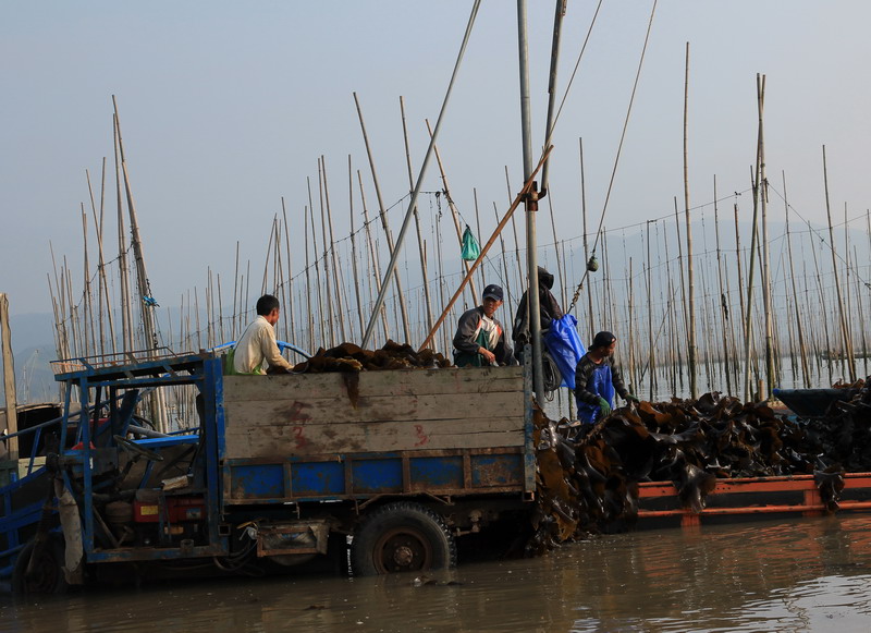 img_2955_缩小大小.jpg