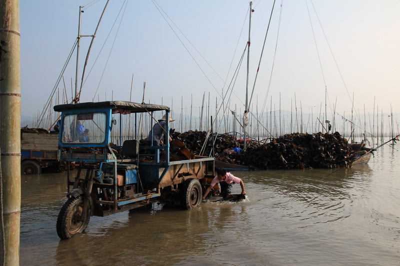 img_2954_缩小大小.jpg