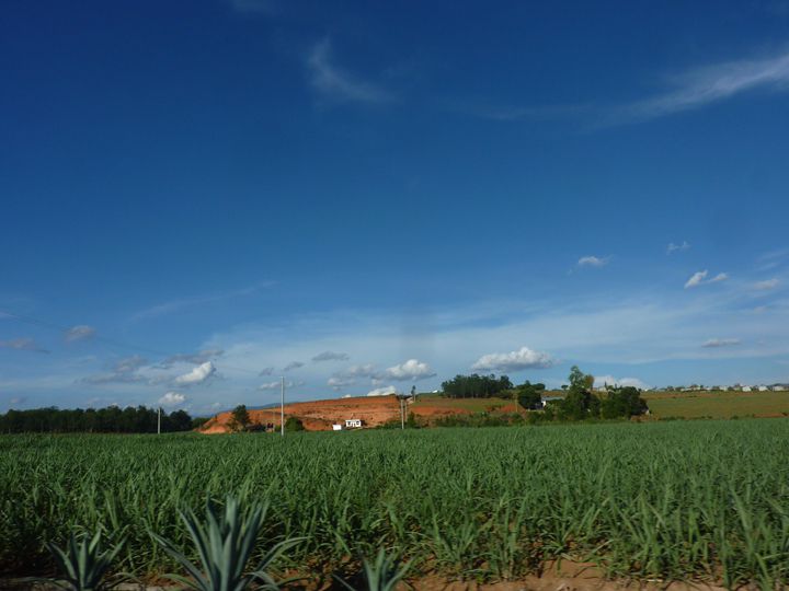 p1370172.jpg