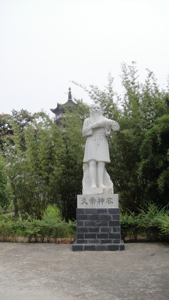 dsc08558.jpg